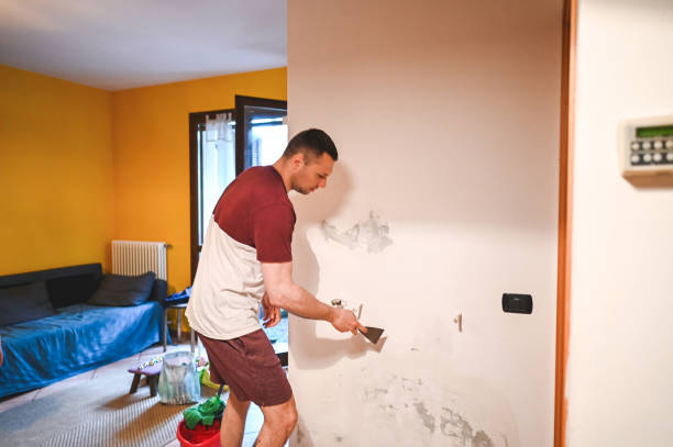 Professional Mold Remediation in Altoona, WI